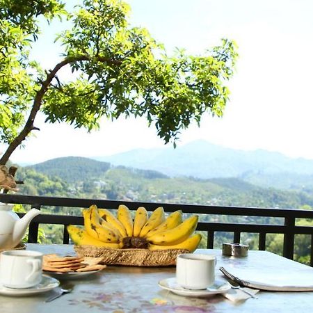 Serene Homestay إيلا المظهر الخارجي الصورة