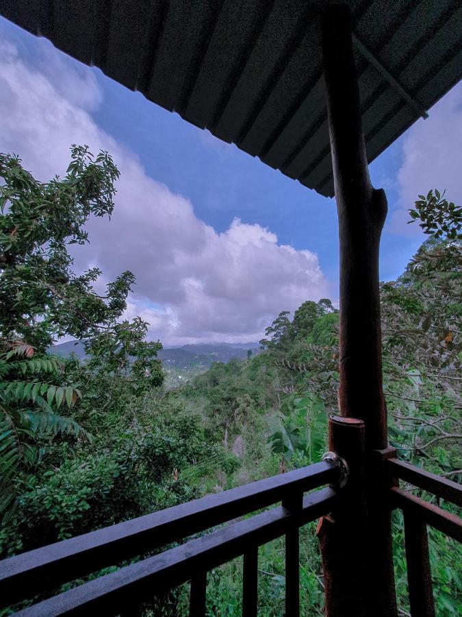 Serene Homestay إيلا المظهر الخارجي الصورة