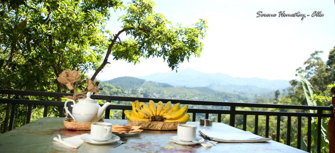 Serene Homestay إيلا المظهر الخارجي الصورة