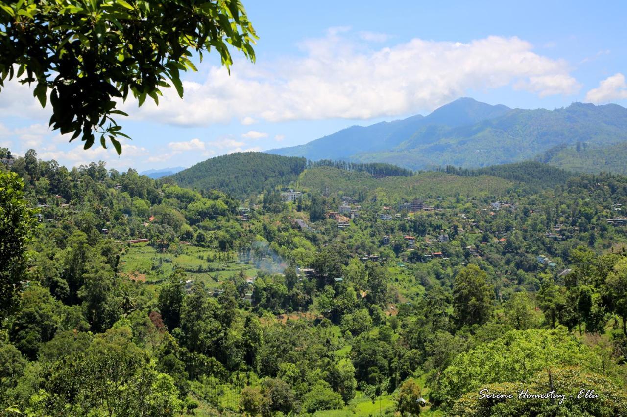 Serene Homestay إيلا المظهر الخارجي الصورة