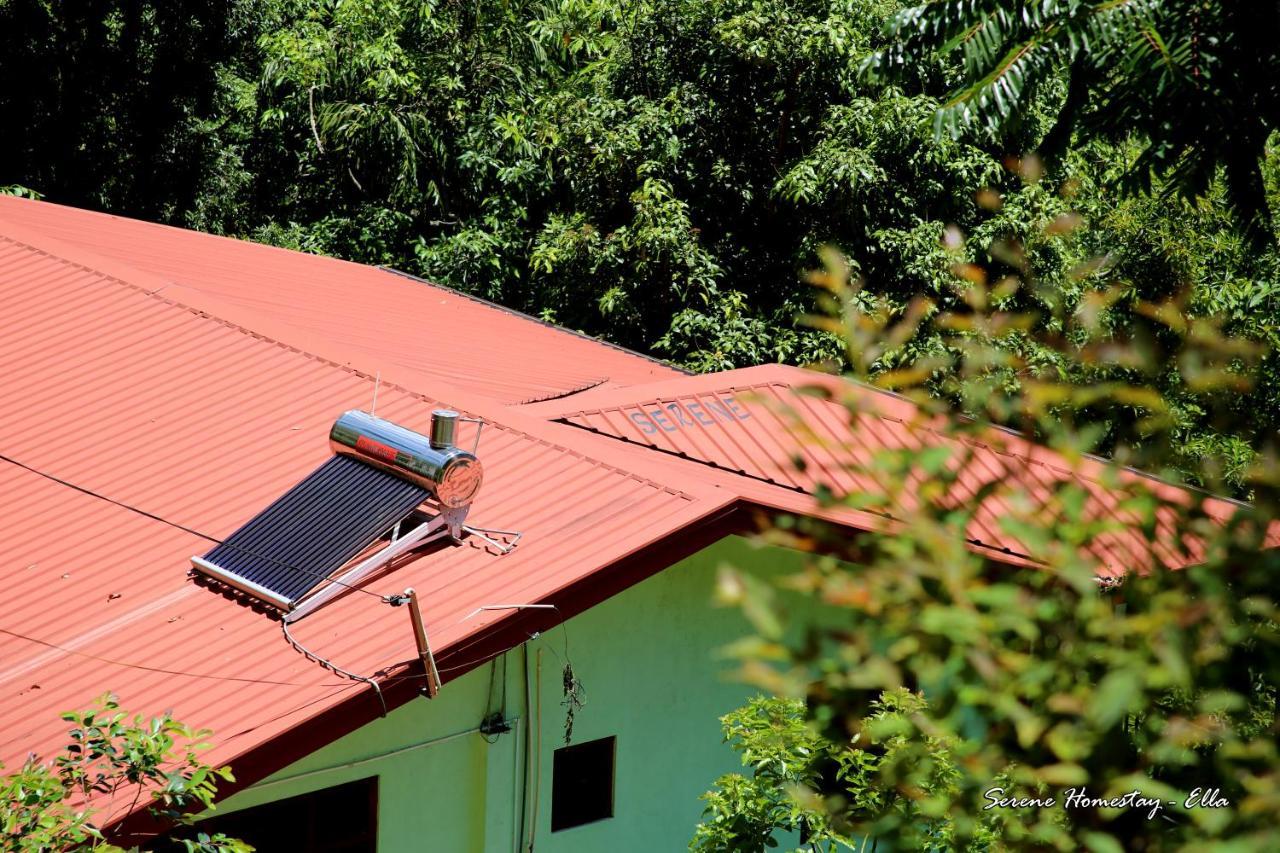 Serene Homestay إيلا المظهر الخارجي الصورة