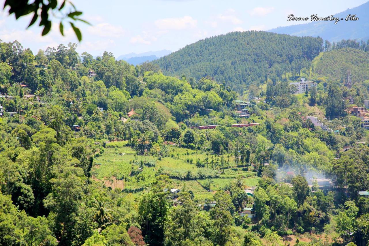 Serene Homestay إيلا المظهر الخارجي الصورة