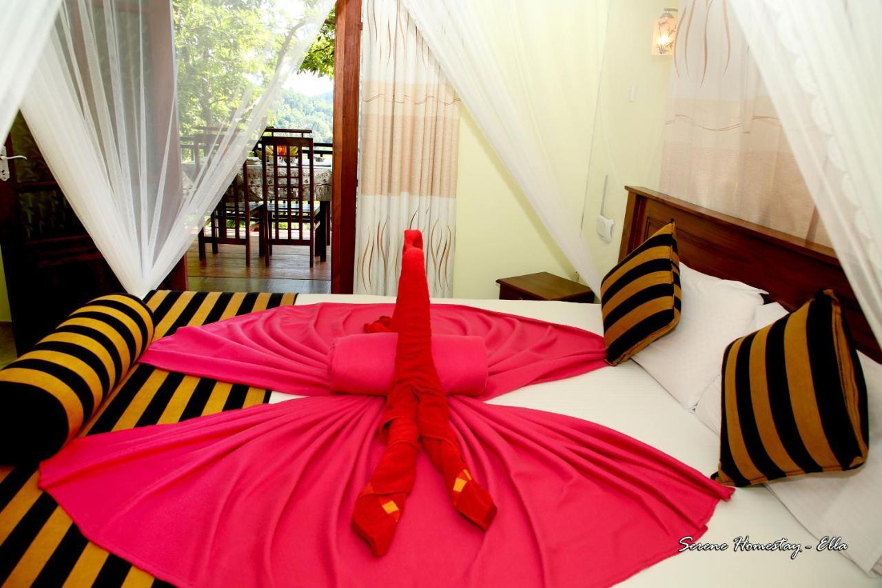 Serene Homestay إيلا المظهر الخارجي الصورة