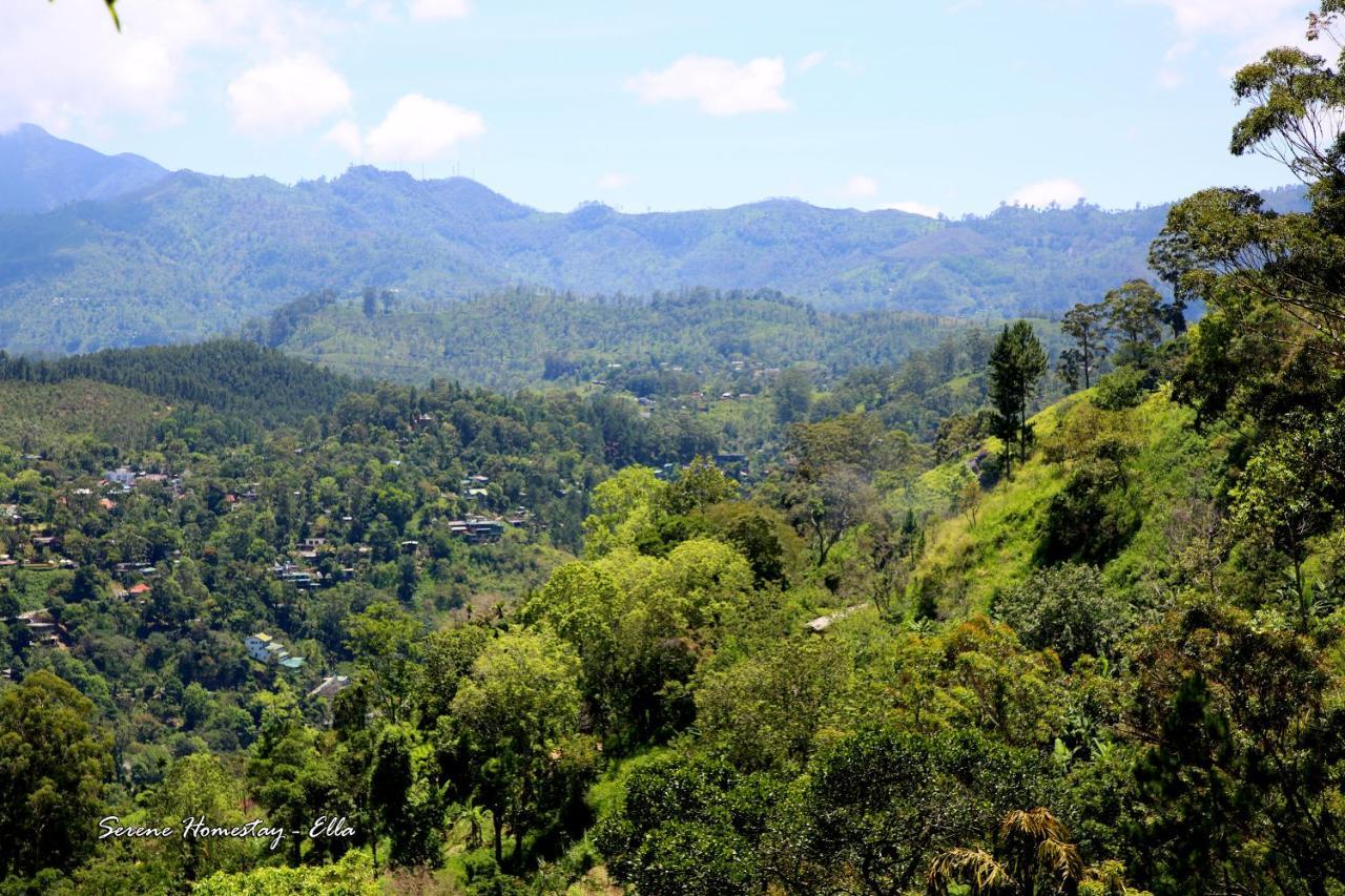 Serene Homestay إيلا المظهر الخارجي الصورة