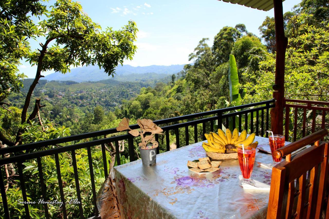 Serene Homestay إيلا المظهر الخارجي الصورة