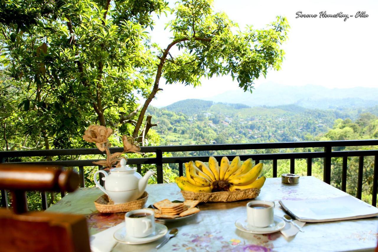 Serene Homestay إيلا المظهر الخارجي الصورة