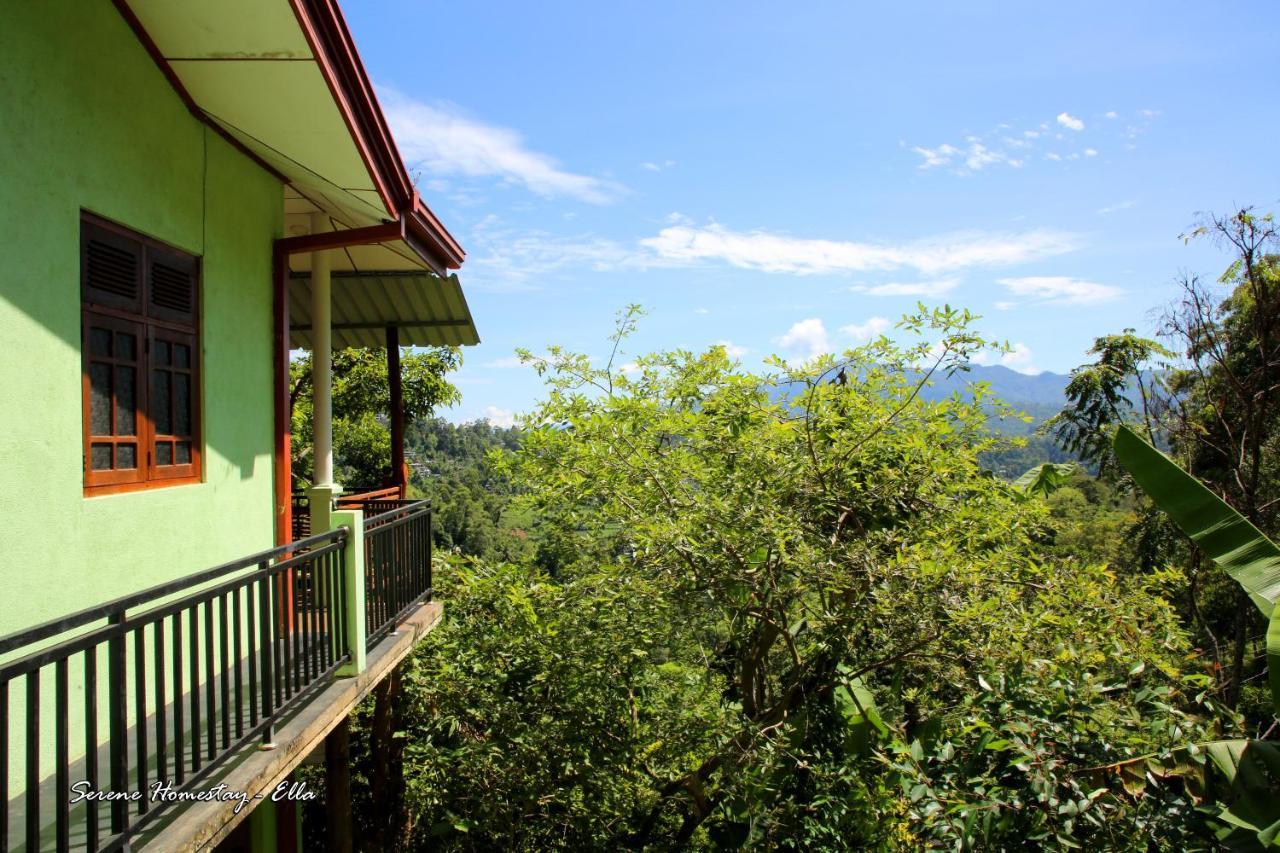 Serene Homestay إيلا المظهر الخارجي الصورة