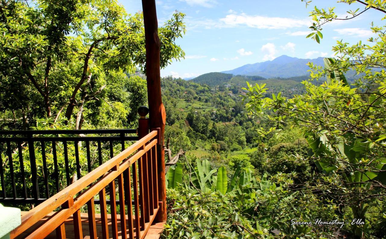 Serene Homestay إيلا المظهر الخارجي الصورة