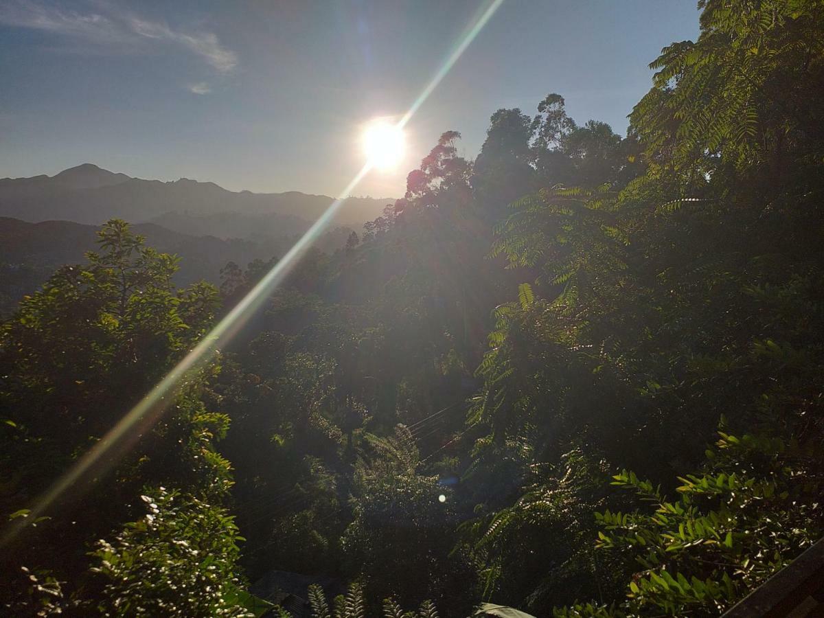 Serene Homestay إيلا المظهر الخارجي الصورة
